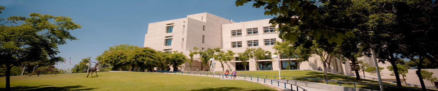 California State University banner