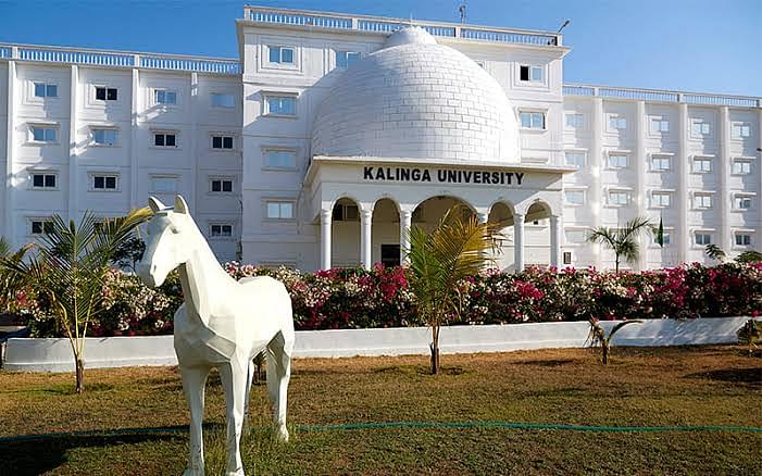 Kalinga University Raipur Courses Fees 2024 2025