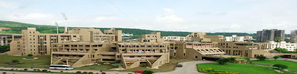 DY Patil University, School of Ayurveda