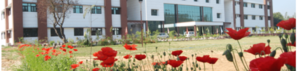 North India Institute of Technology - [NIIT]