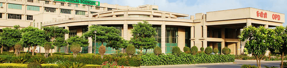 Punjab Institute of Medical Sciences - [PIMS]