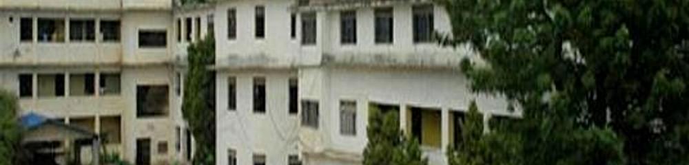 Sankardev College