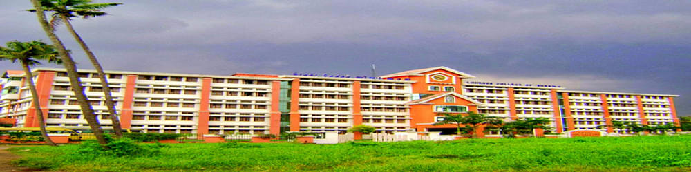 Lourdes College of Nursing - [LCN]