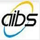 Anand Institute of Business Studies - [AIBS]