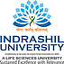 Indrashil University Rajpur