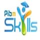 PIBM Skills