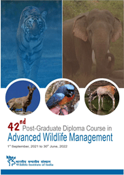 wildlife institute of india phd admission 2022