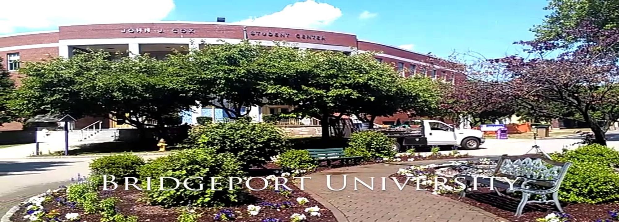 University Of Bridgeport, Bridgeport Admission, Criteria & Application  Deadlines 2022-2023