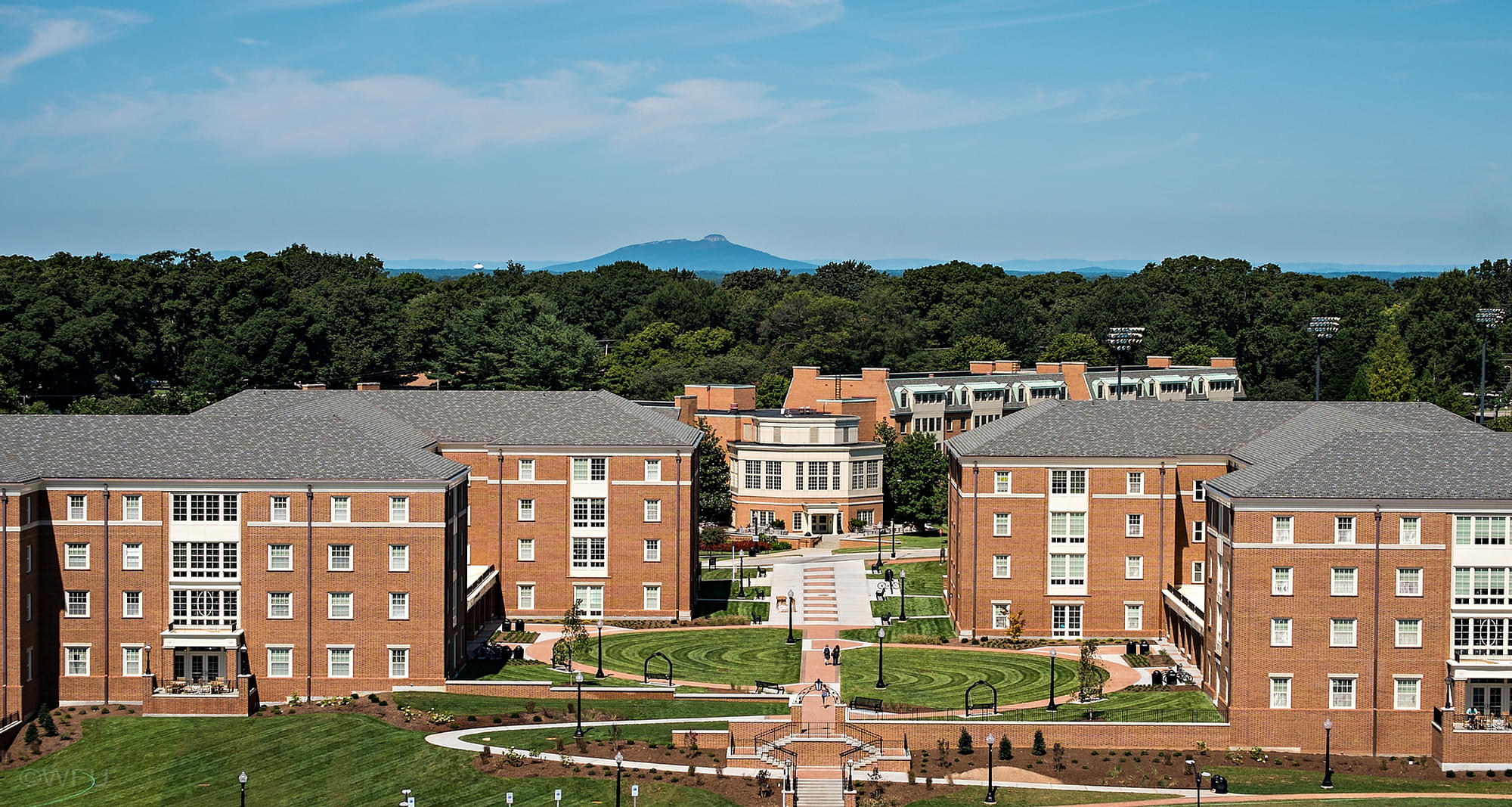 Forest university. Wake Forest University. Кампус. Кампус в лесу. Кампус фото.