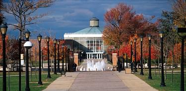 : College Flags & Banners Co. Staten Island Dolphins