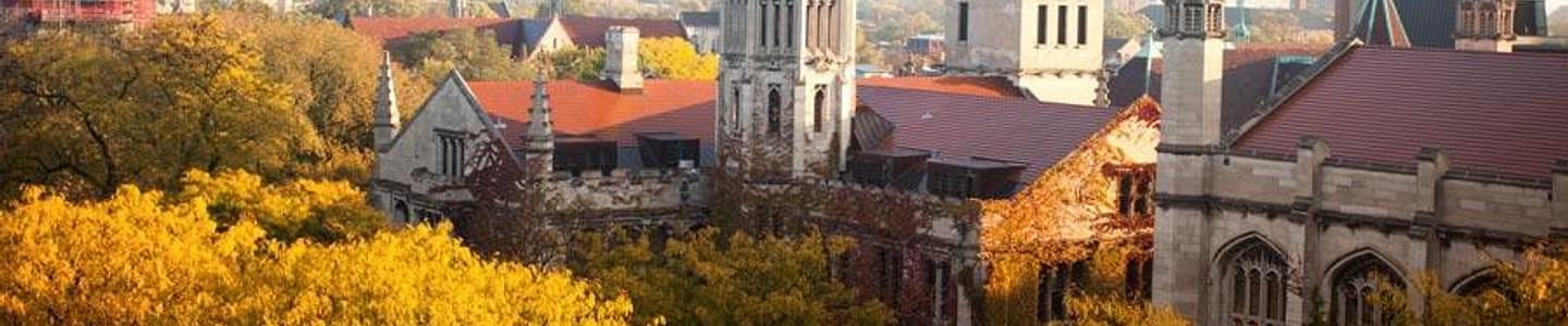 University of Chicago banner