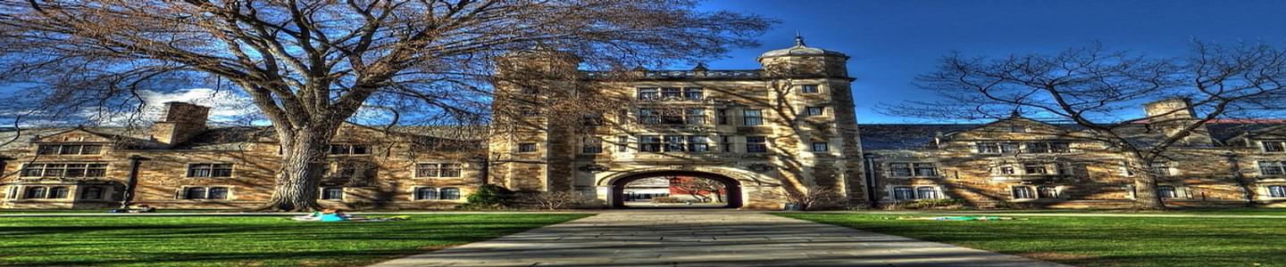 University of Michigan banner