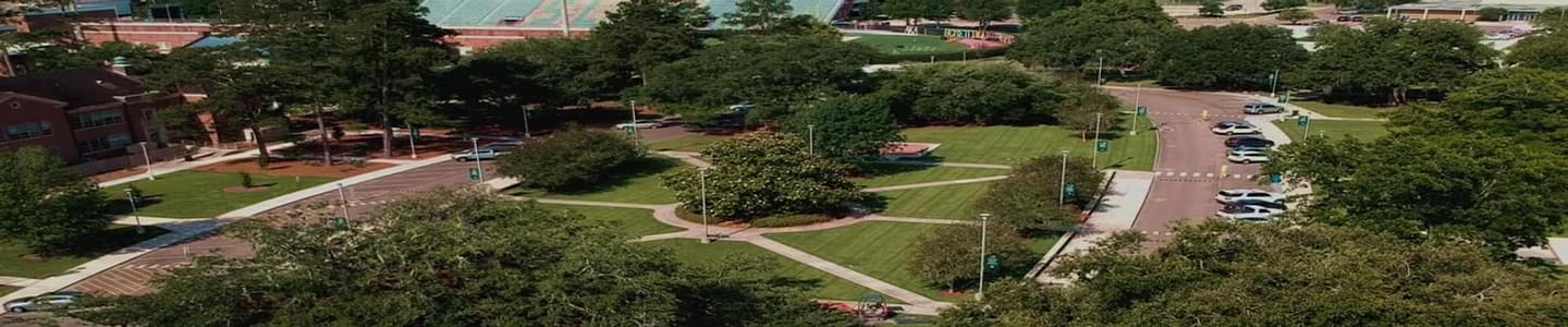 Southeastern Louisiana University banner