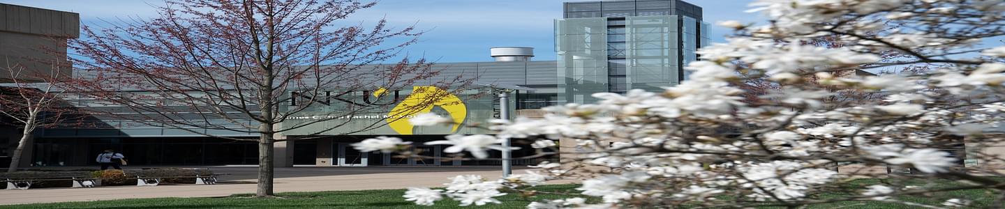 Northern Kentucky University banner