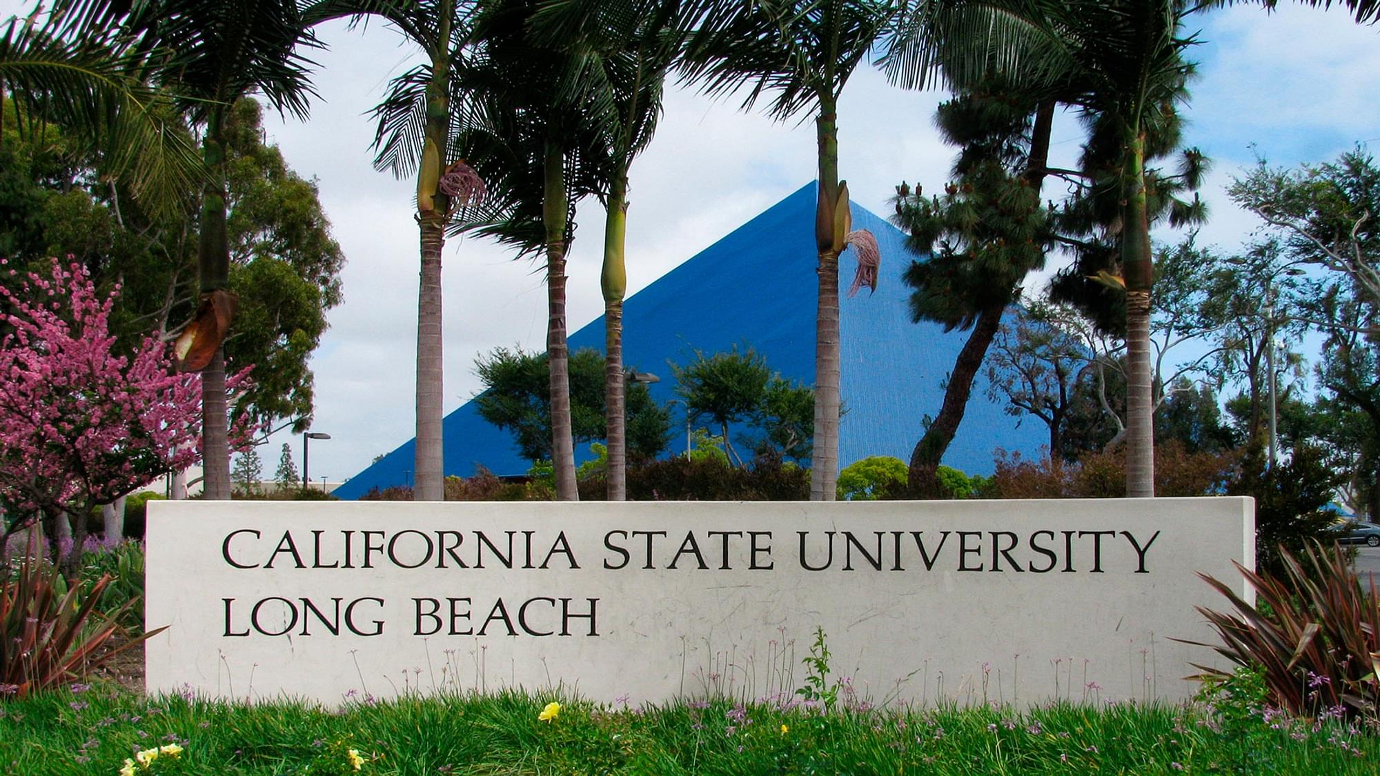 CSU Long Beach Transfer Acceptance Rate
