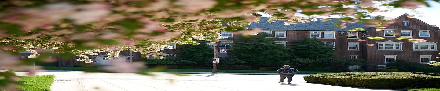 La Salle University banner