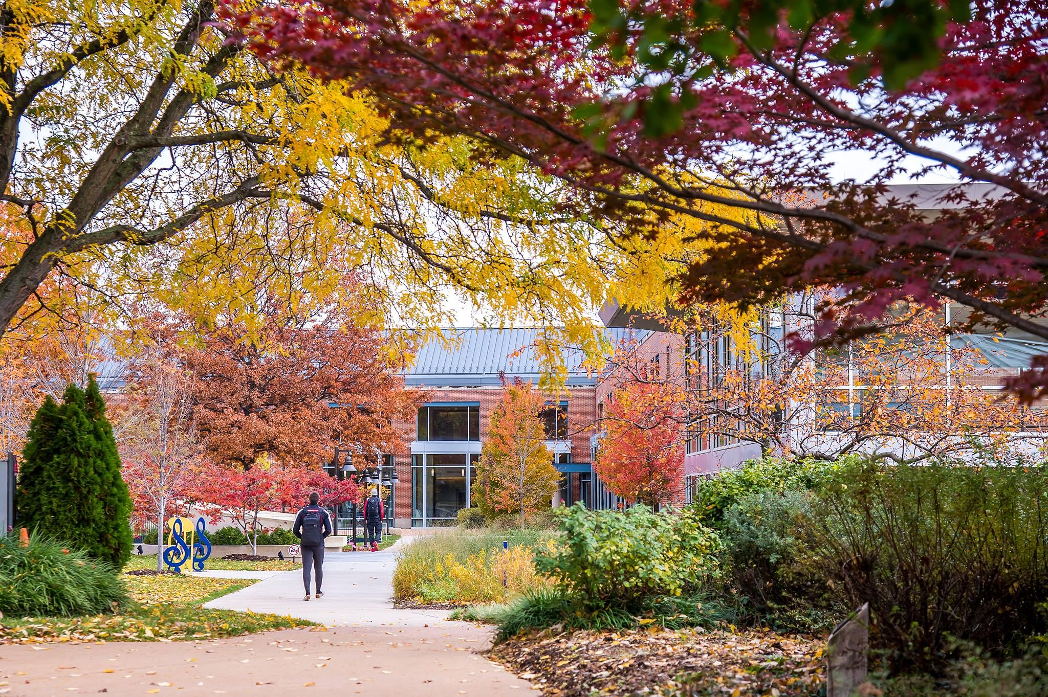 Webster University Admissions 2023 2024 Deadlines Admission Requirements For International