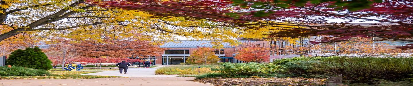 Webster University banner