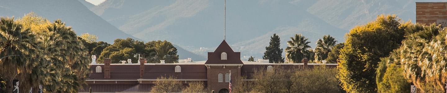 University of Arizona banner