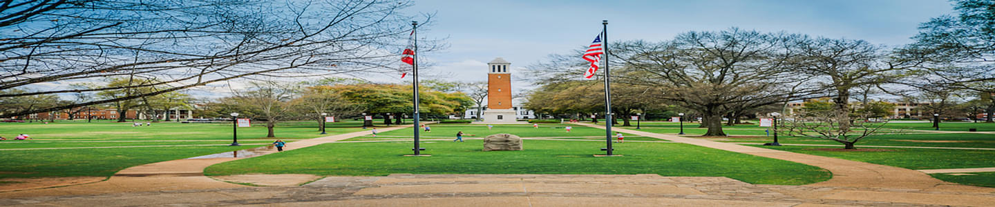 University of Alabama banner