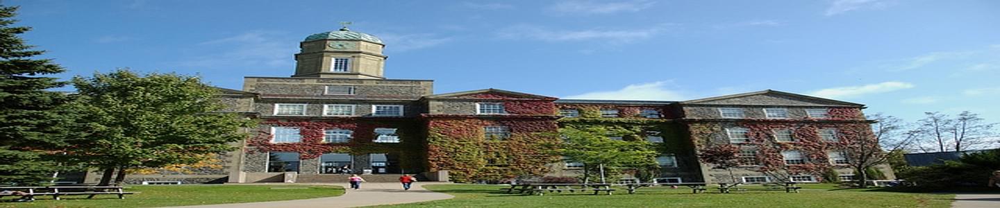 Dalhousie University banner