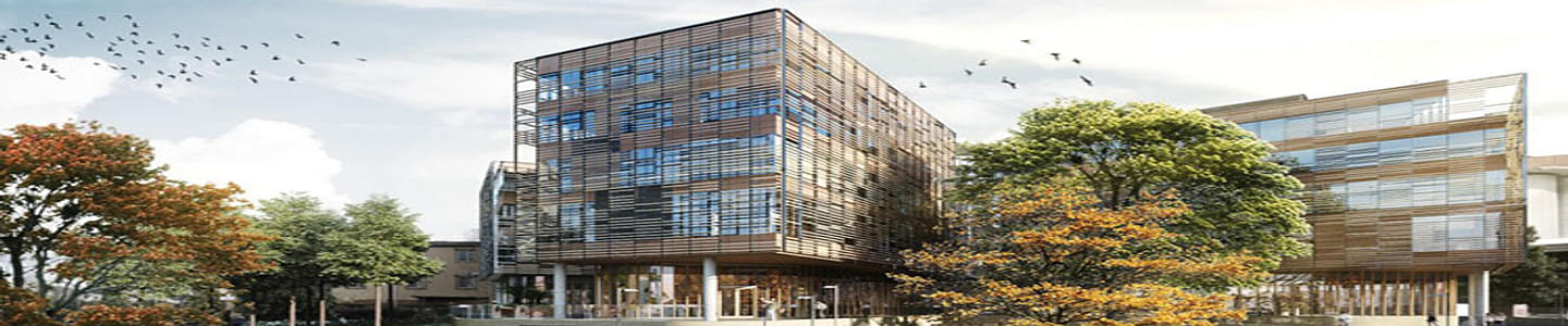 The University of Sydney Business School banner