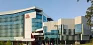 Griffith University