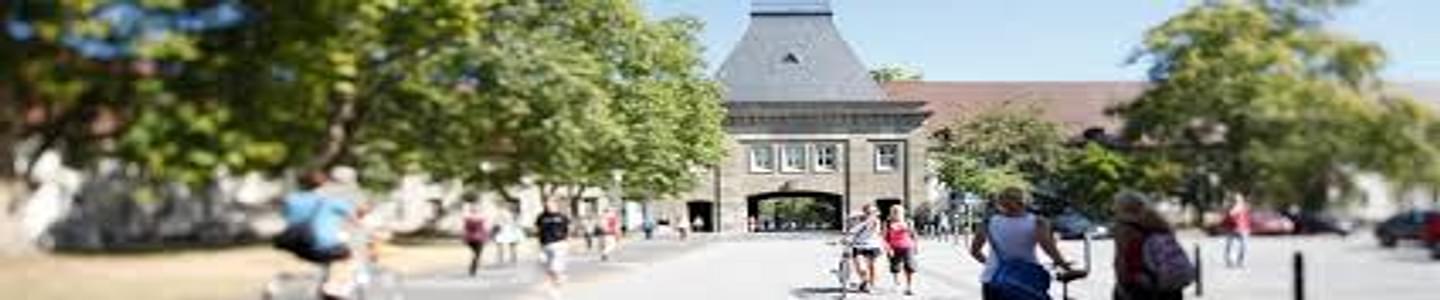 Johannes Gutenberg University of Mainz banner