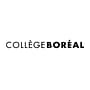 universidad boreal logo