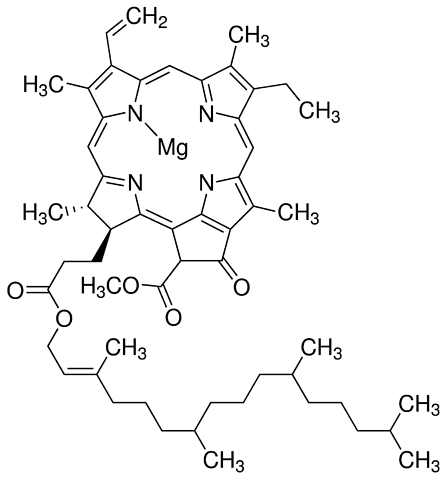 chlorophyll structure