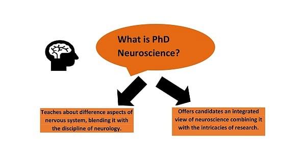 phd neuroscience usa