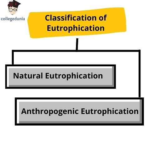 Eutrophication, Definition, Types, Causes, & Effects