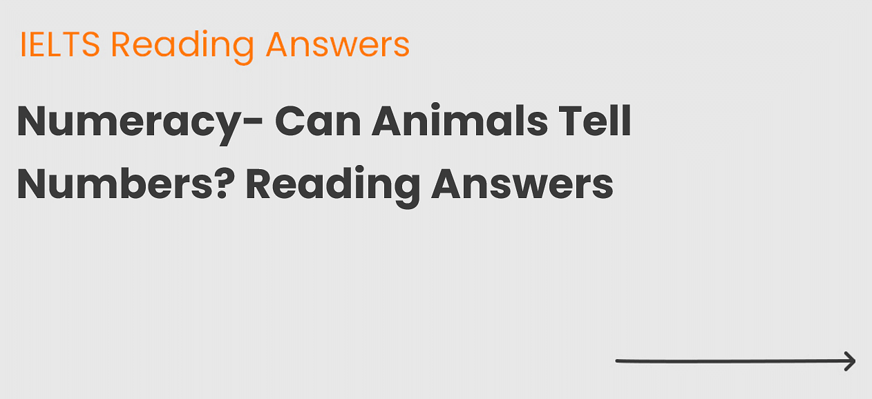 Numeracy- Can Animals Tell Numbers? Reading Answers