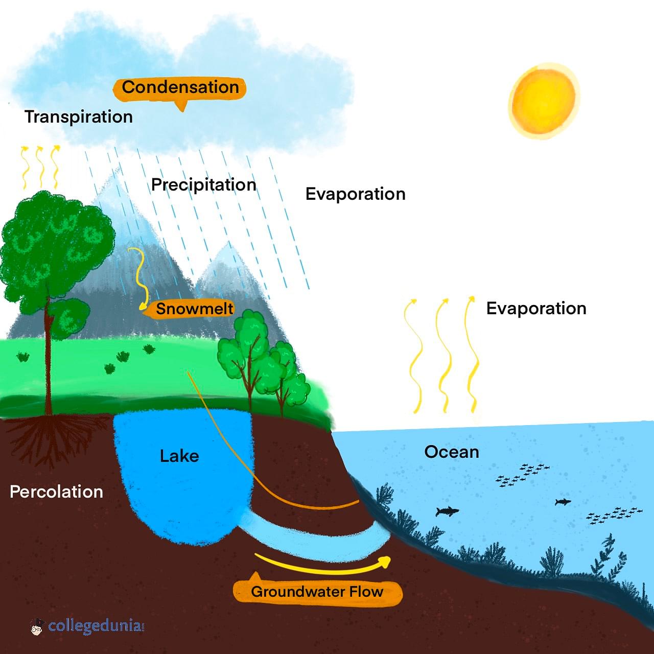 What is hydrogen cycle and how does it work  Quora