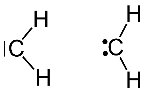 terminal methylene