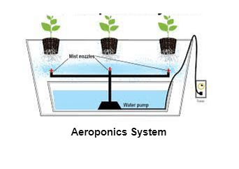 What is Aeroponics