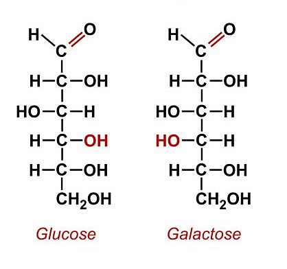 galactose chemical structure