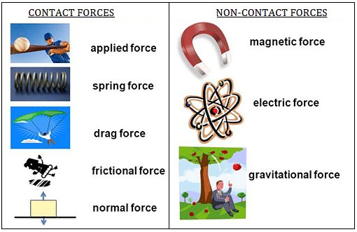similarities between magnetic force and gravitational force