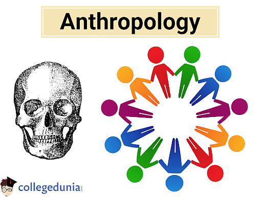 Which Of The Following Is The Best Definition Of Anthropology