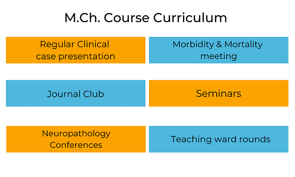 M.Ch. Course Curriculum