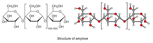 structural formula of amylose
