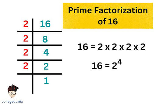 Factors of 16: Prime Factors & Pair Factors of 16
