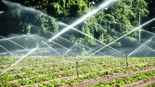 Techniques of Water Distribution in Irrigation Engineering  The Constructor