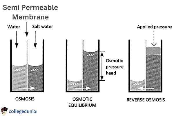 Reverse Osmosis (RO) - Definition, Working Principle, Process, Experiment,  Advantages, Disadvantages of Reverse Osmosis.