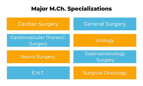 Major M.ch Specializations