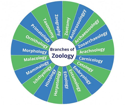 Zoology: Meaning, Importance, History, and Branches of Zoology