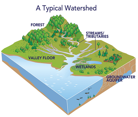 simple watershed diagram