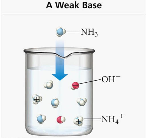 Examples of Weak Base (5 Examples with Images) - Teachoo Chemistry
