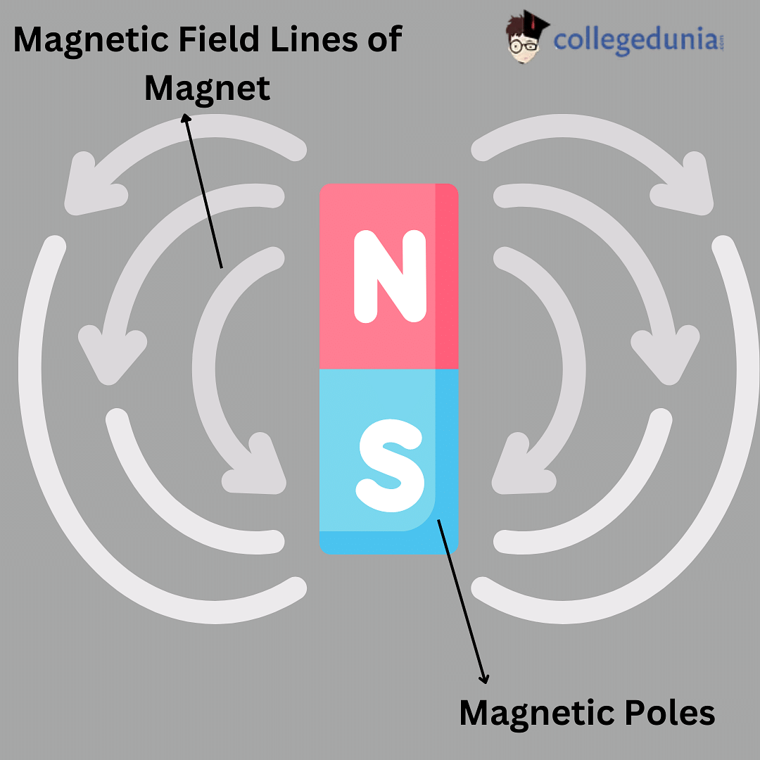 Draw the magnetic field lines around a bar magnet, and label | Quizlet