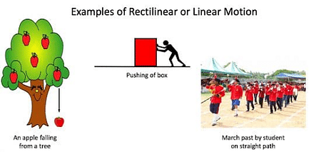 examples of rectilinear motion